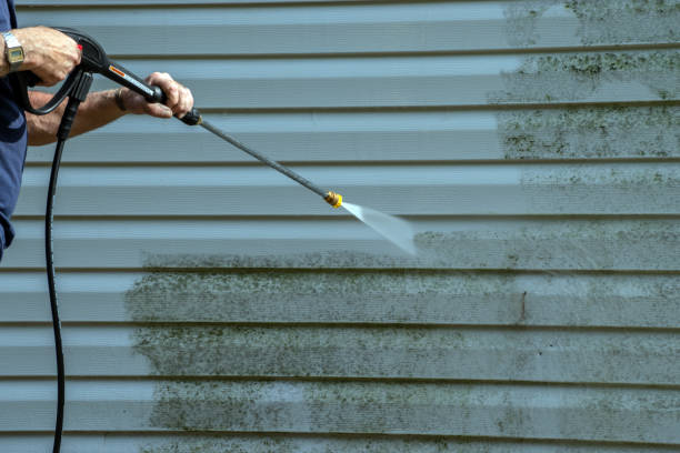Best Gutter Cleaning  in Bargaintown, NJ
